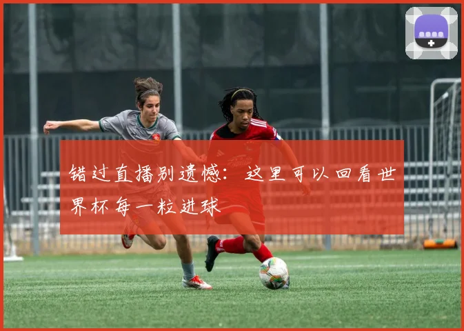 错过直播别遗憾：这里可以回看世界杯每一粒进球